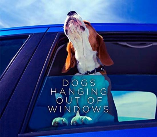 Politics & Social Sciences |   Dogs Hanging Out Of Windows, Hardcover Book, By: Various Politics & Social Sciences Politics & Social Sciences