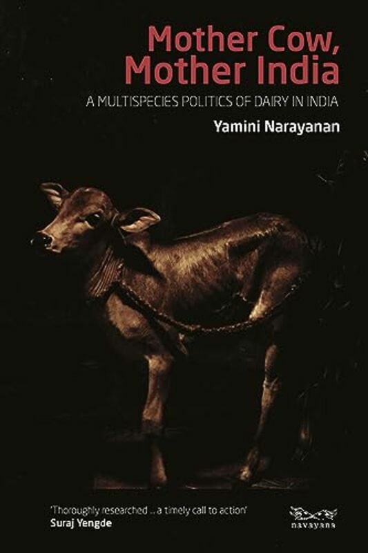 Politics & Social Sciences |   Mother Cow Mother India  A Multispecies Politics Of Dairy In India By Yamini Narayanan – Paperback Politics & Social Sciences Politics & Social Sciences