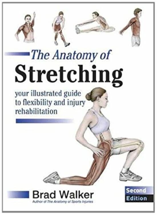 Sports & Outdoors |   The Anatomy Of Stretching: Your Illustrated Guide To Flexibility And Injury Rehabilitation , Paperback By Walker, Brad Sports & Outdoors Sports & Outdoors