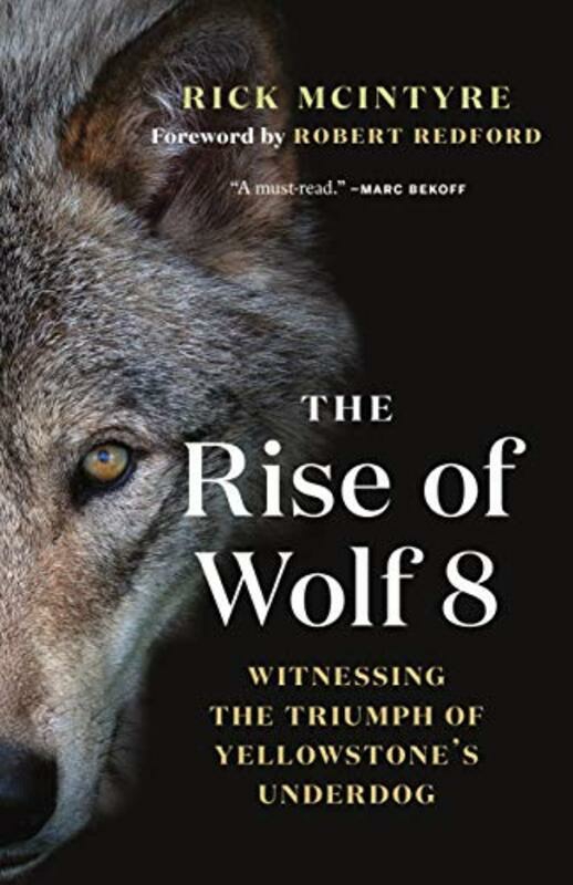 Science & Math |   The Rise Of Wolf 8: Witnessing The Triumph Of Yellowstone Underdog Paperback By Mcintyre, Rick – Redford, Robert Science & Math Science & Math